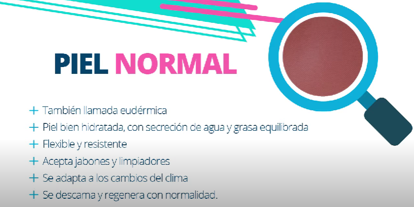 tipos de piel