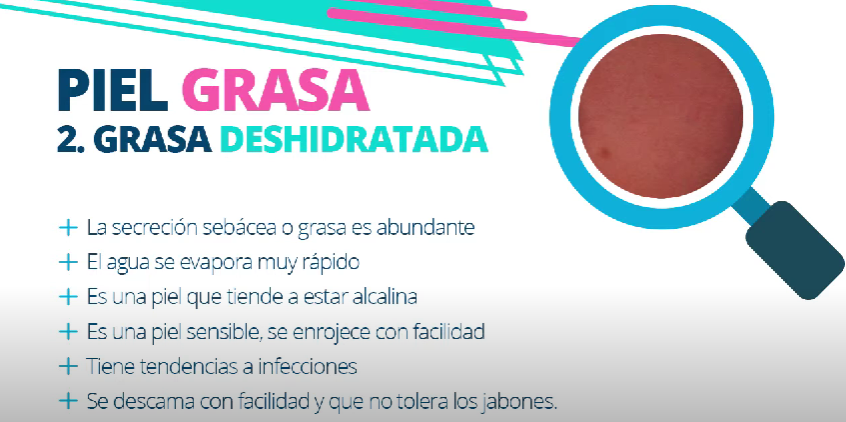 tipos de piel